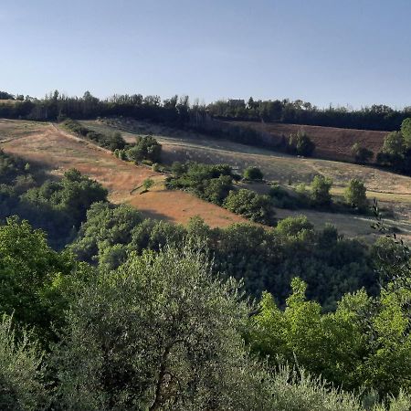 L'Alboreto Salvatico Homestay Serra San Quirico Buitenkant foto