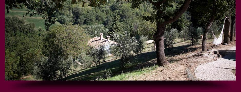 L'Alboreto Salvatico Homestay Serra San Quirico Buitenkant foto